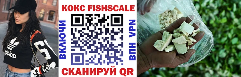 Купить где  Первомайск  Cocaine 99% 